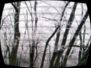 dsc00188.jpg